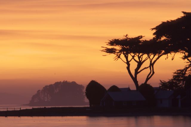 _MG_8420 Cypress Grove at Sunset