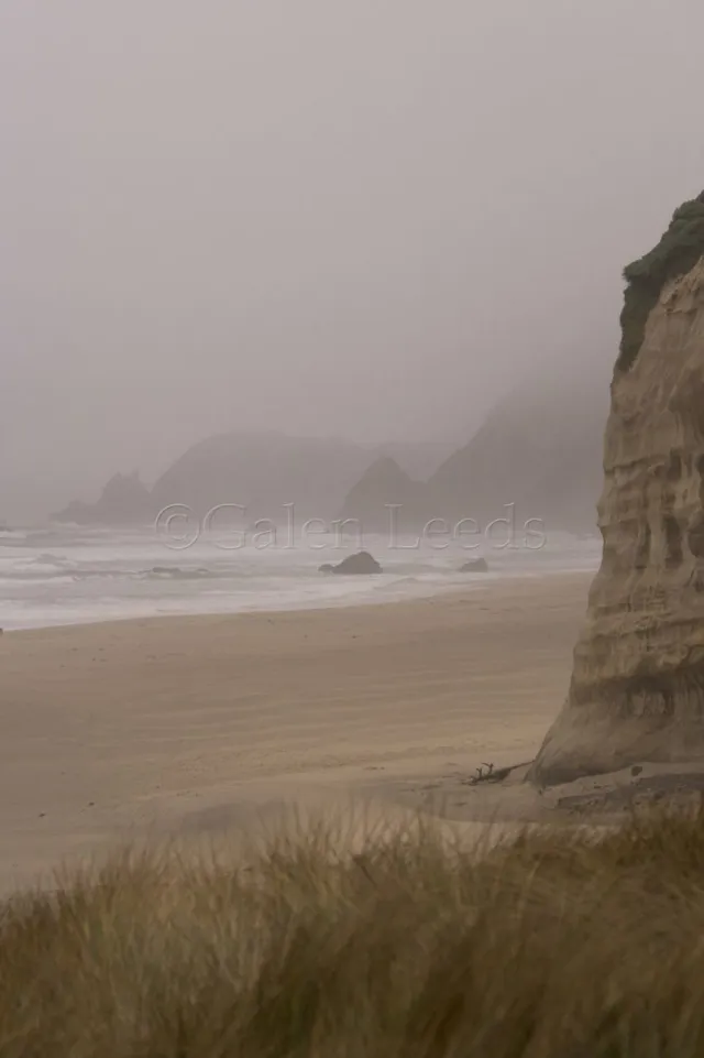 The fog shrouds this beach scene in a moody quietness that wouldn't be there on a sunny day