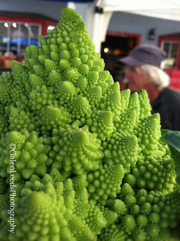 Anatomy of a photo #71: Cauliflower fractals | Galen Leeds Photography
