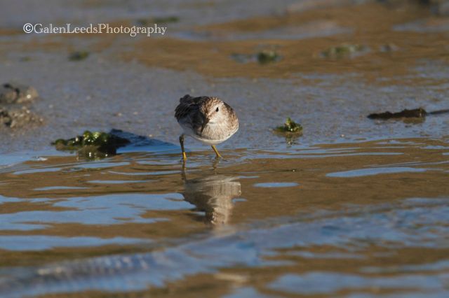 I was noticed from time to time...