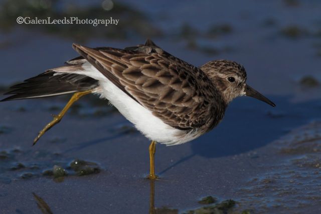 Nothing like a good stretch.