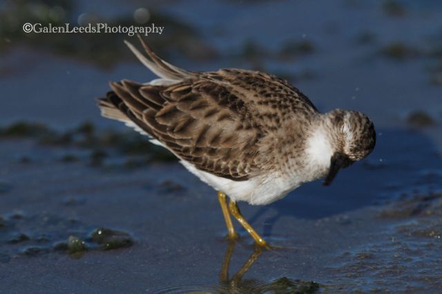 OK, shake it off. Get back to feeding.